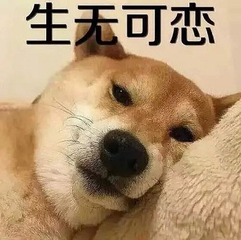 终于来了!各大APP一键关闭个性化广告 终于来了!各大APP一键关闭个性化广告